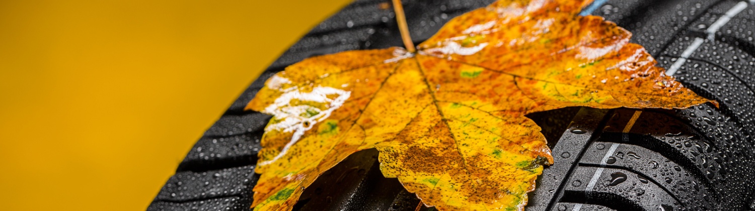 All Weather Tires in Mono, ON